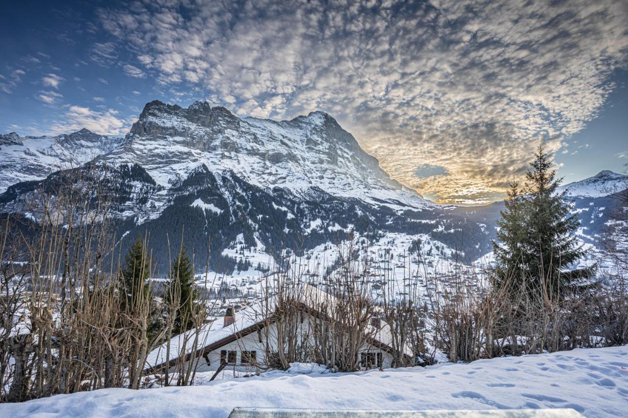Chalet Weid - Aare Jungfrau Ag กรินเดลวัลด์ ภายนอก รูปภาพ