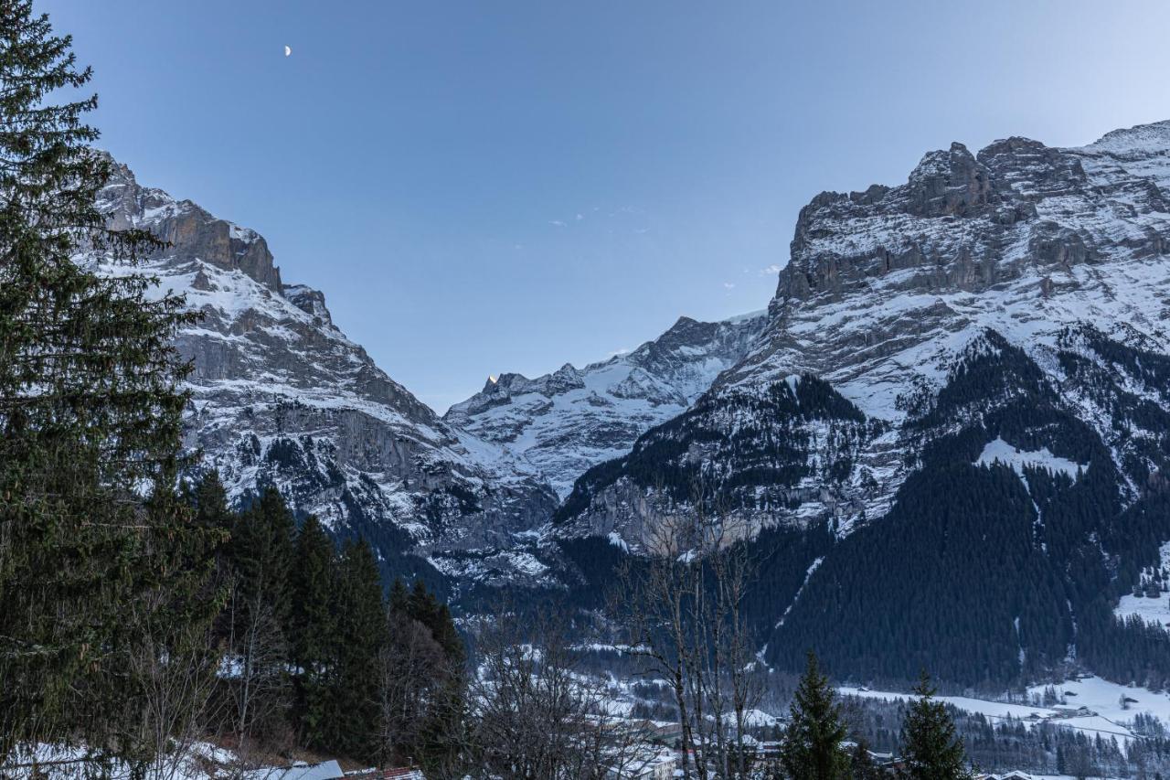 Chalet Weid - Aare Jungfrau Ag กรินเดลวัลด์ ภายนอก รูปภาพ